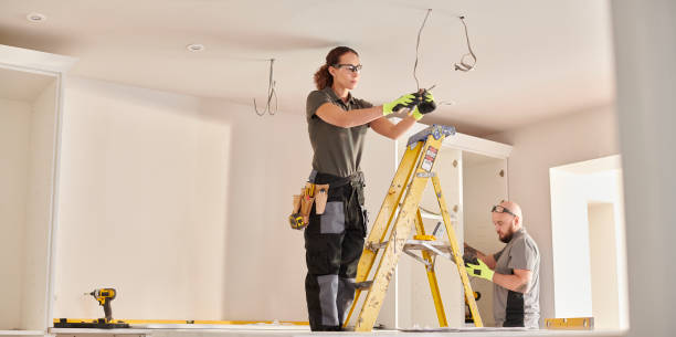 Best Electric Panel Repair  in Janesville, IA