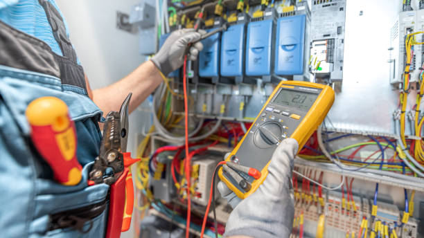 Best Ceiling Fan Installation Electrician  in Janesville, IA